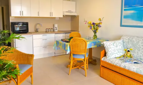 Chez Loursterel (location de vacances Mimosa, la cuisine) résidence Horizon Bleu à Théoule-sur-Mer 