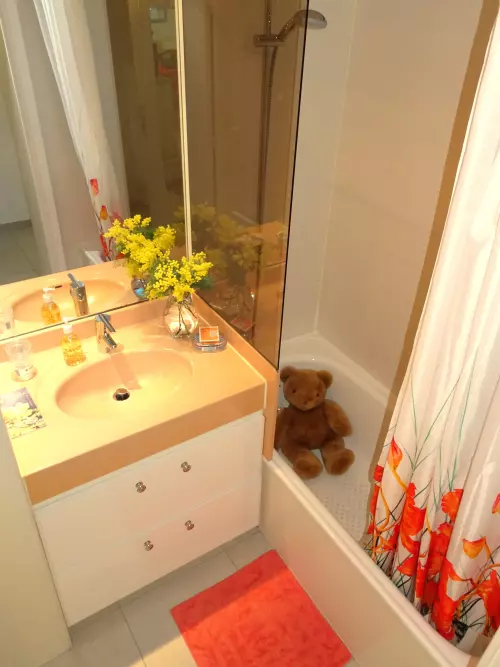 Chez Loursterel (location de vacances Mimosa, la salle de bains) résidence Horizon Bleu à Théoule-sur-Mer 